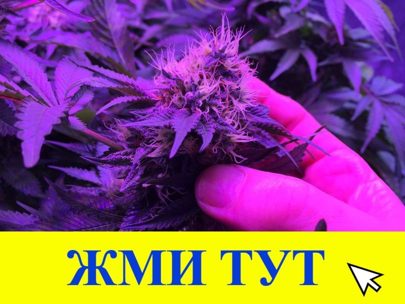 Купить наркотики в Туймазы